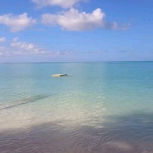 Meet your Posher, Kara